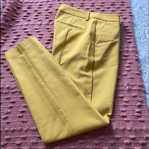 Express ankle pants
